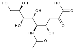 N - acetilneuramino rūgštis CAS Nr .:131-48-6